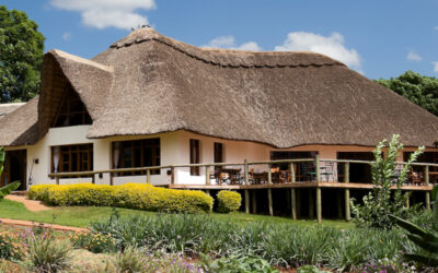 Mikumi safari lodge