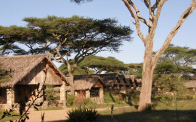Ndutu Safari Lodge