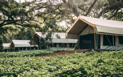 Ngorongoro Tortilis Tented Camp