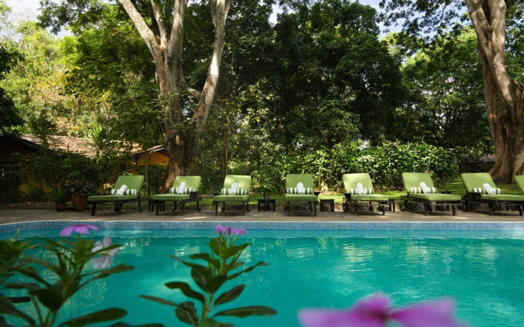 Rivertrees Country Inn