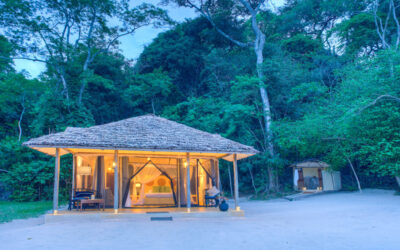 Rubondo Island Camp