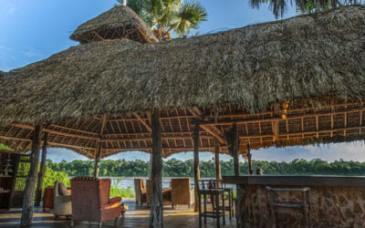 Selous wilderness camp