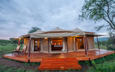 Serengeti Acacia Tented Camp