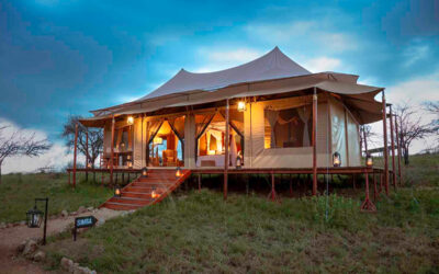Serengeti Matawi Camp
