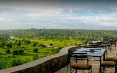 Tarangire Safari Lodge