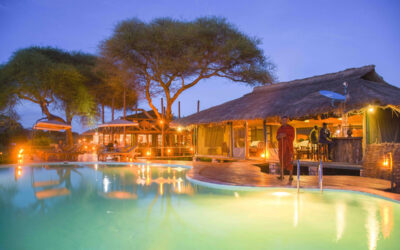 Tarangire Simba Lodge