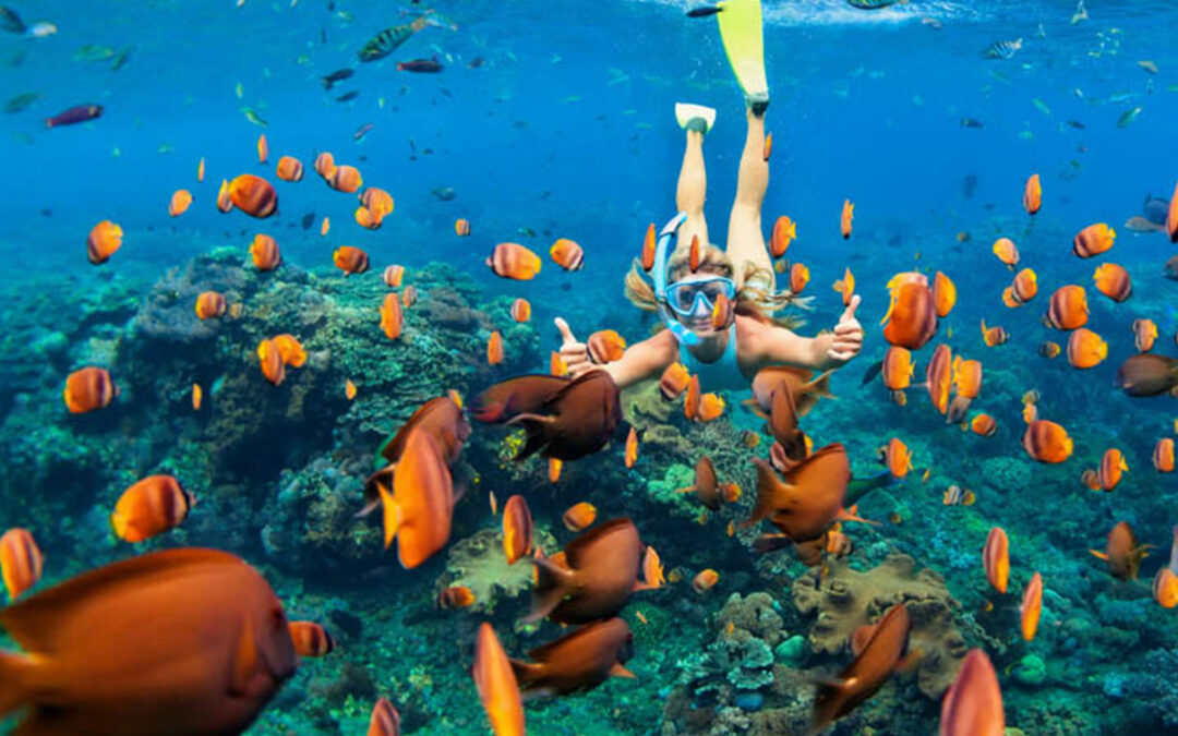Christmas Snorkeling in Zanzibar: Marine Adventures for the Holidays