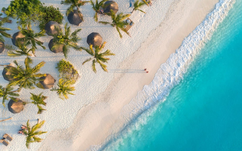 Christmas Snorkeling in Zanzibar: Marine Adventures for the Holidays