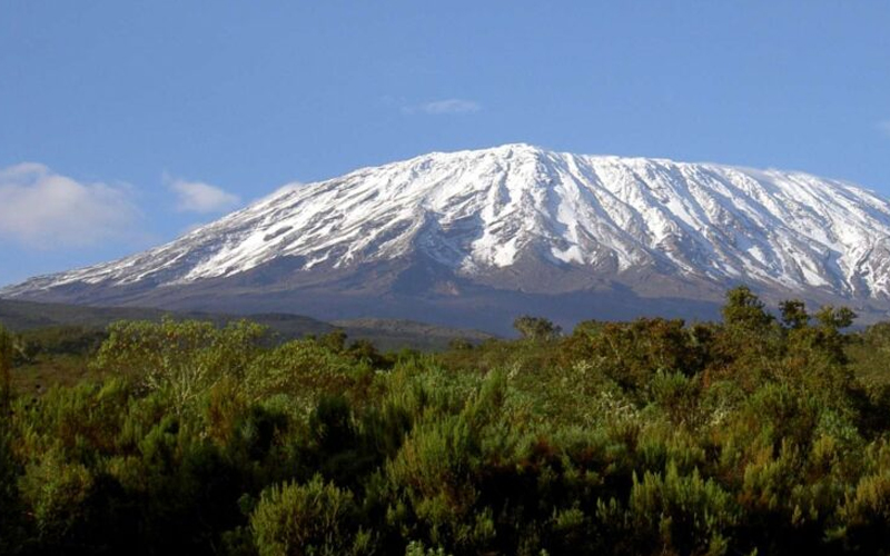  Why Kilimanjaro Treks Are the Perfect New Year Resolution