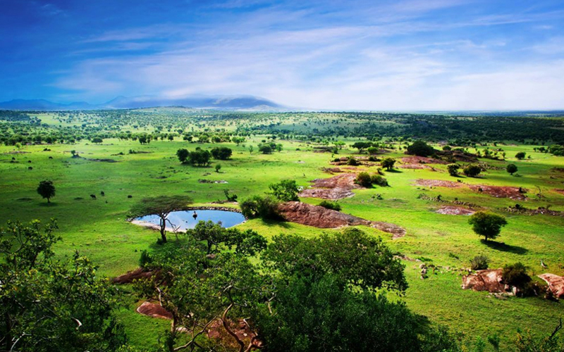 How Climate Change is Impacting Tanzania’s Wildlife Safaris in 2025