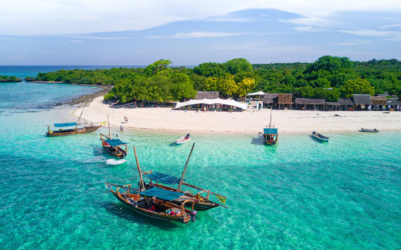 New Year’s Eve in Tanzania Best Safari and Beach Celebrations for 2025