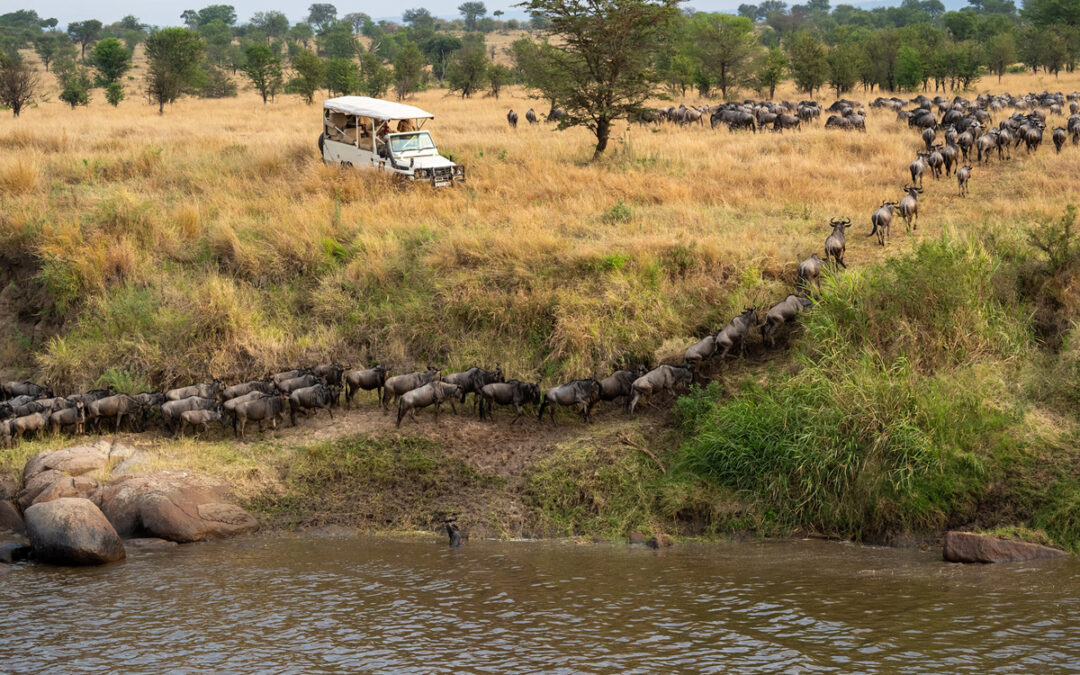 New Year’s Eve in Tanzania: Best Safari and Beach Celebrations for 2025