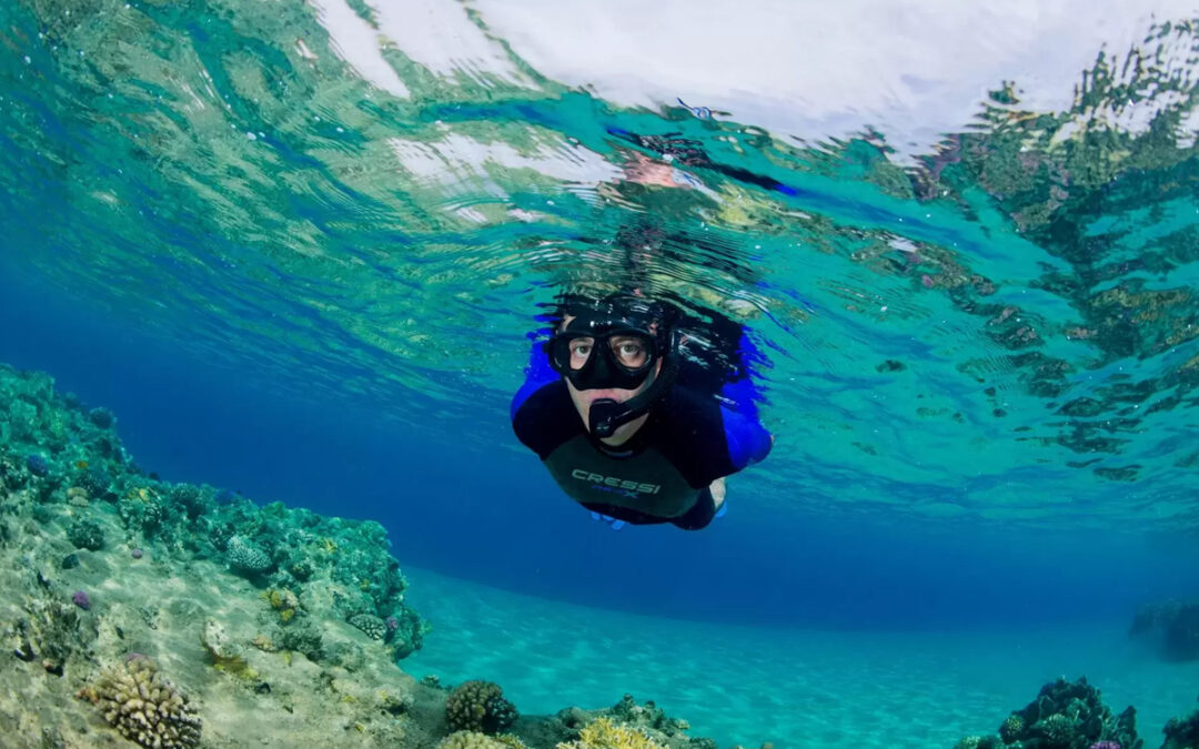 Snorkeling and Diving in Zanzibar: Marine Adventures for 2025