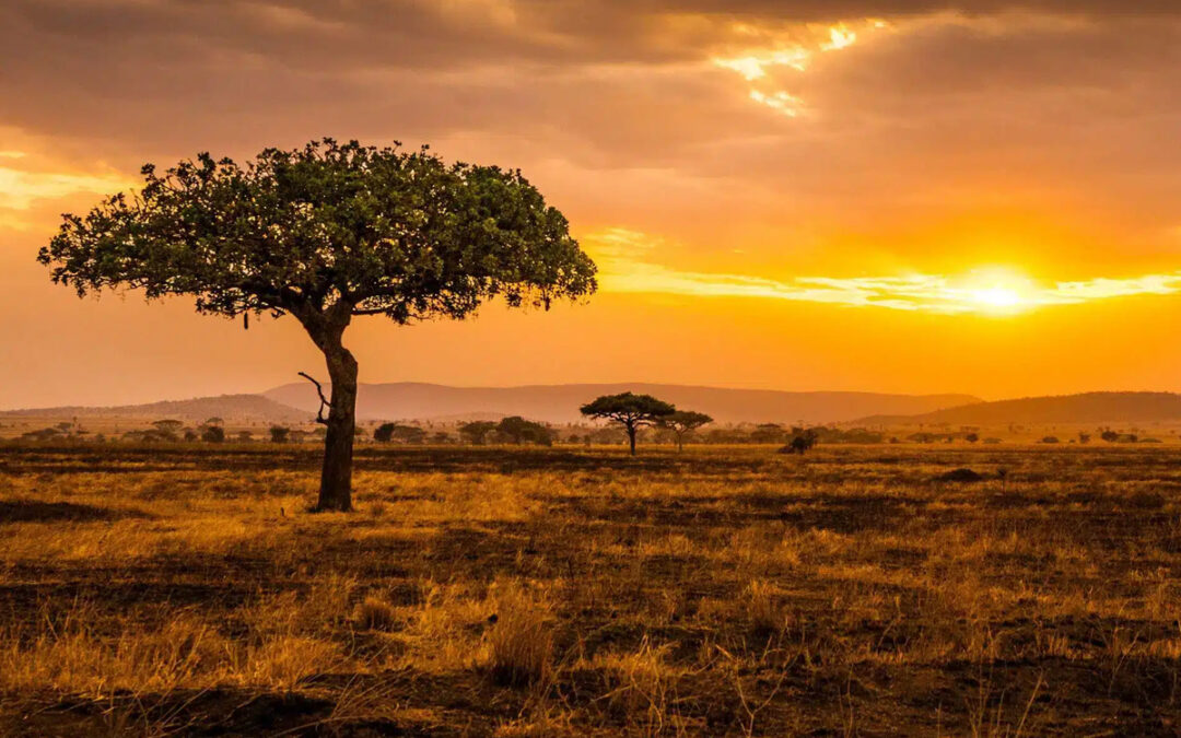 Why Tanzania is Africa’s Hottest Travel Destination for 2025