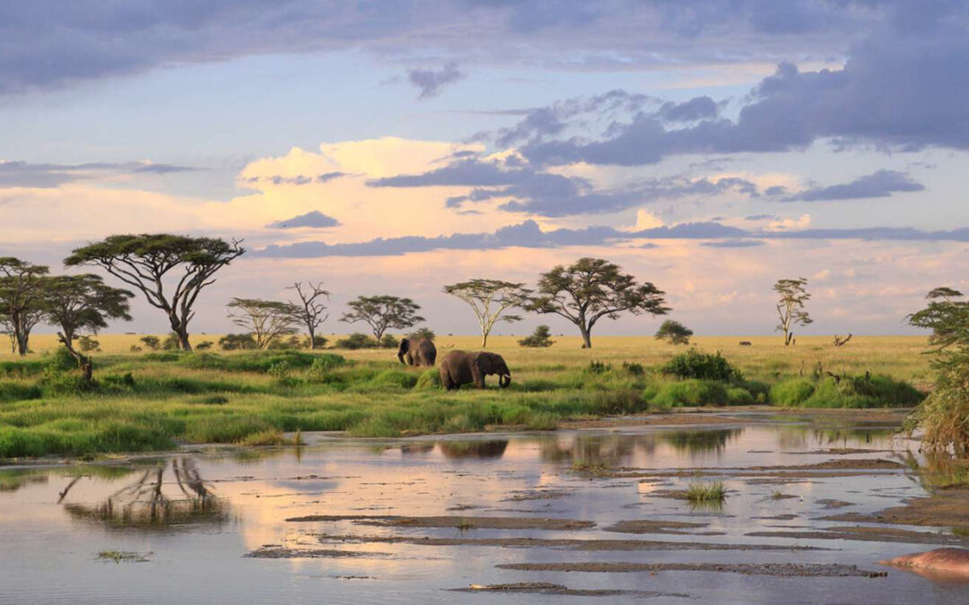 How Climate Change is Affecting Safaris in Tanzania in 2025