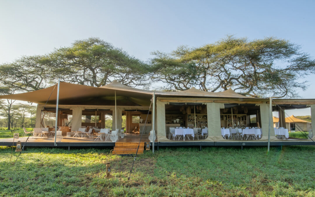 Luxury Safari in Tanzania: Best Camps for 2025