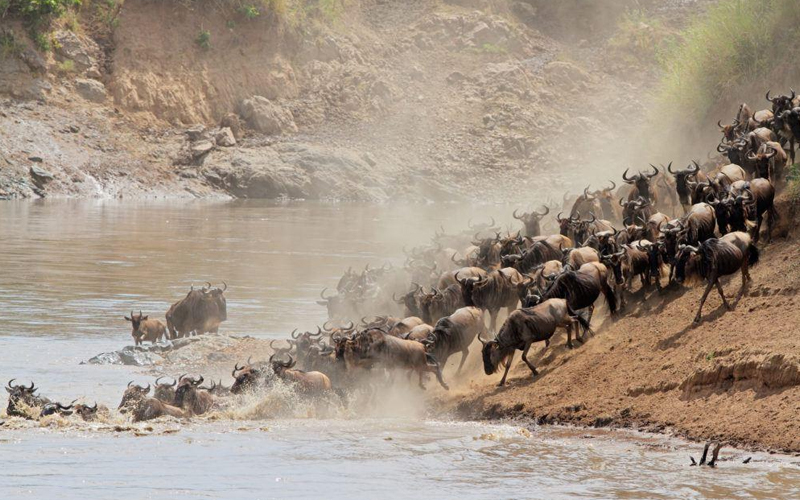 Navigating the Serengeti: Tips for a Crowd-Free Safari in 2025