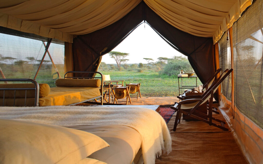 Serengeti Under the Stars: Tanzania’s New Luxury Sky Beds