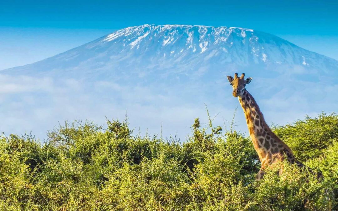 Tanzania’s National Parks Expansion: New Areas to Explore
