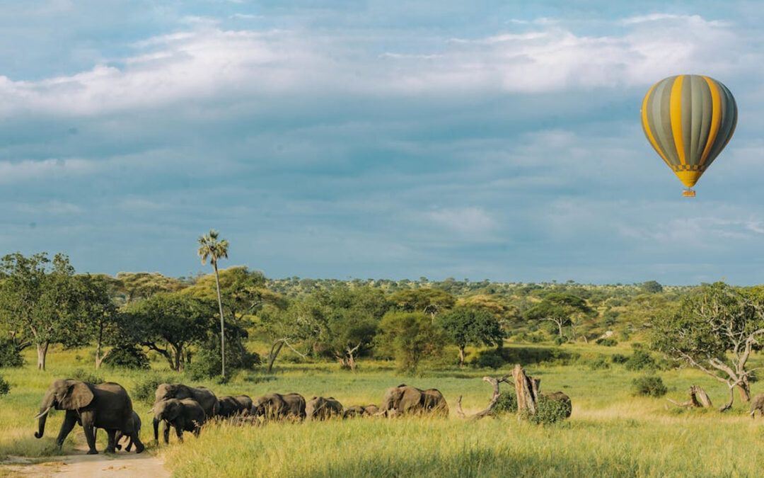 Tanzania’s Tourism Boom: Record 74 Million Visitors in 2024