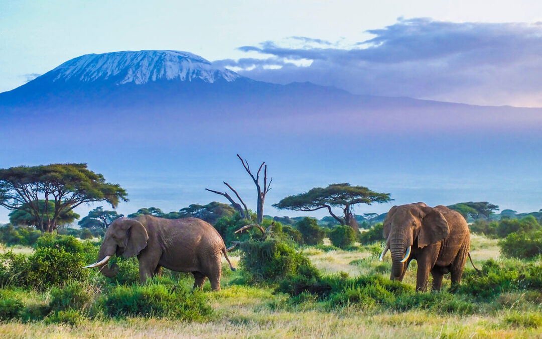 Tanzania’s Tourism is Breaking Records in 2025