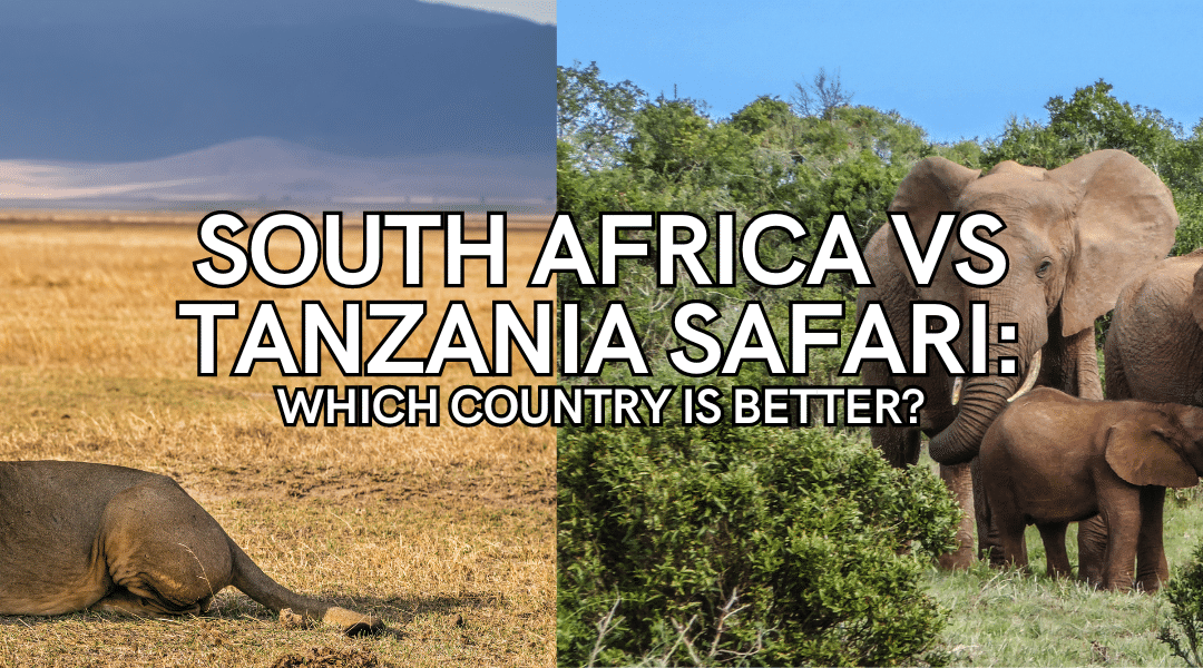 Are Tanzania Safaris Better Than South Africa?