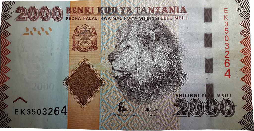 Can I Use US Dollars In Tanzania?