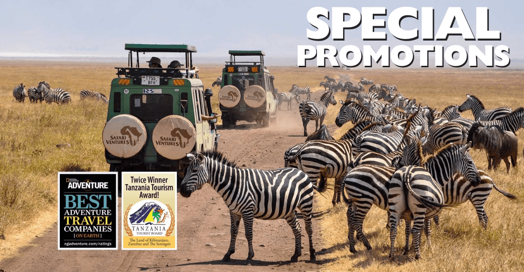 Discover Our Customizable Safari Packages