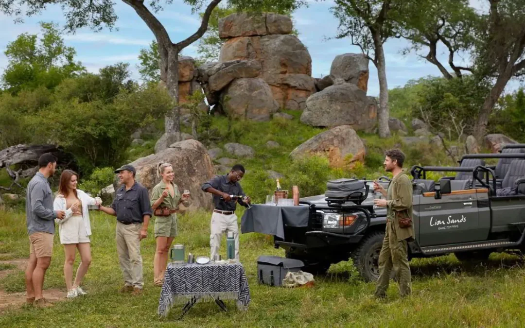 Discover Our Tailored Safari Experiences