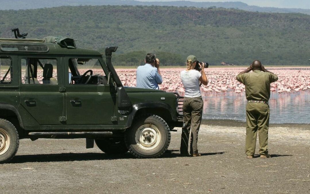 Discover The Best Safari Destinations For Birdwatching