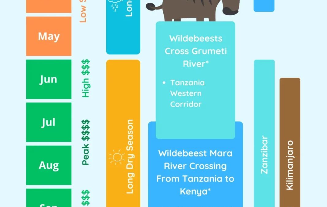Discover The Best Times For A Tanzania Safari