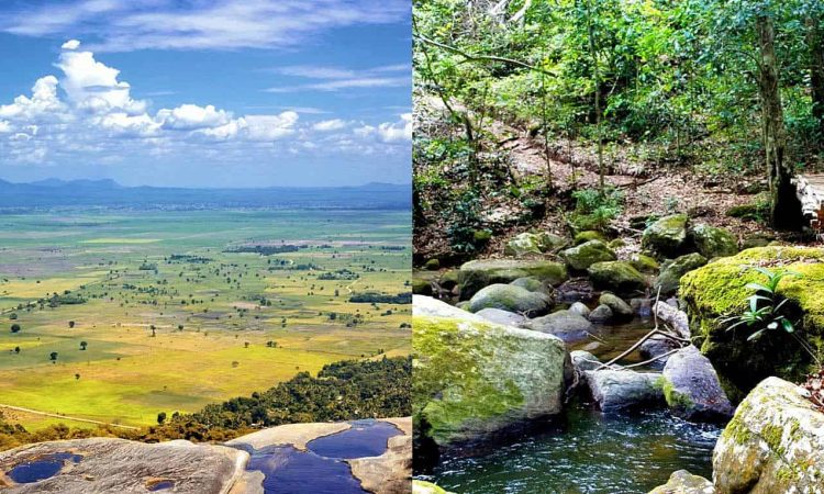 Discover The Hidden Gems Of Tanzania’s Wildlife Reserves