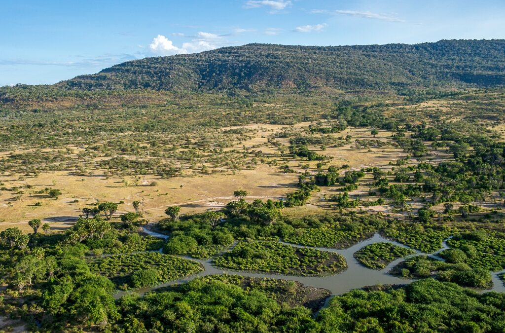 Discover The Untamed Wilderness Of Nyerere National Park