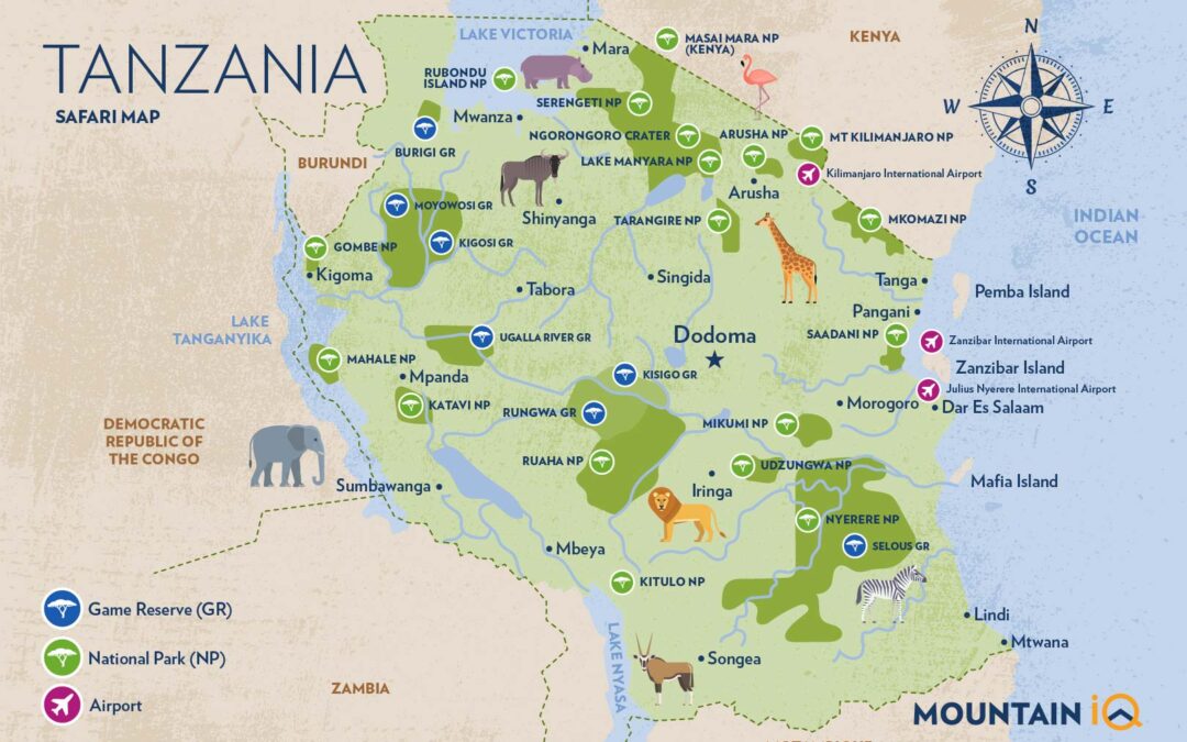 Explore The Best Safari Routes In Tanzania