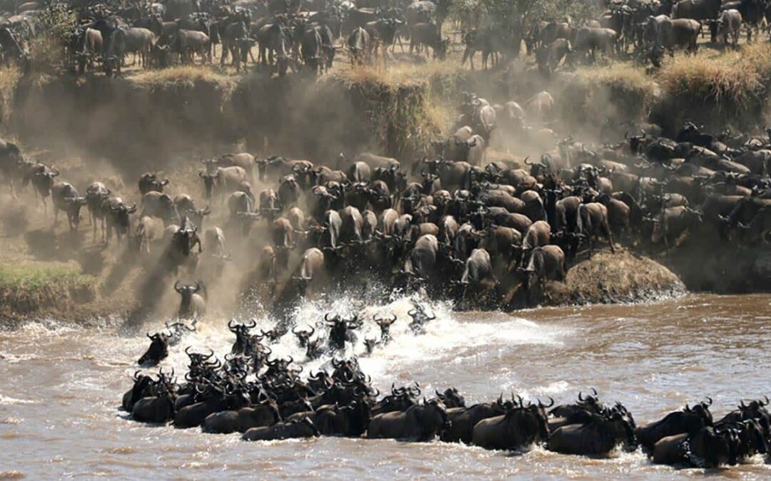 Get Ready For The Serengeti Migration: Nature’s Grandest Spectacle