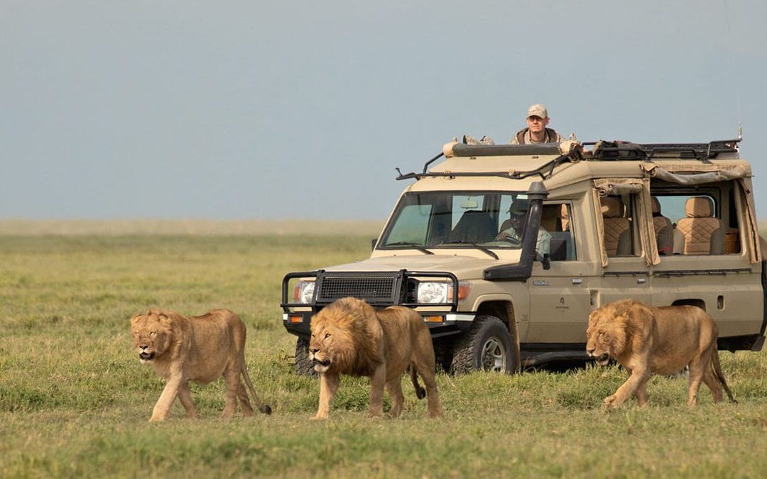 How Many Days Do I Need For A Tanzania Safari?