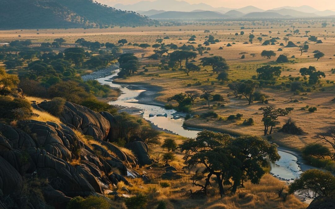 Immerse In The Rugged Beauty Of Ruaha National Park