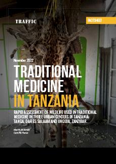 Learn About The Traditional Medicine Of Tanzania