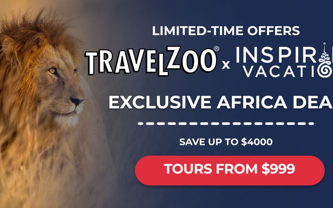 Limited-Time Discounts On Safari Packages