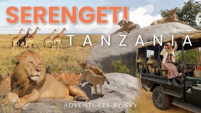 Plan Your Ultimate Serengeti Safari Adventure