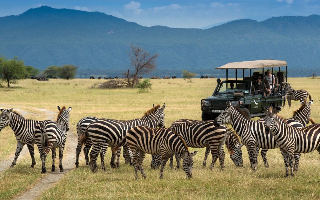 Special Offers For Honeymoon Safaris