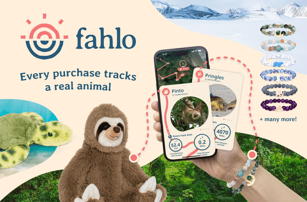 Special Offers For Wildlife Enthusiasts
