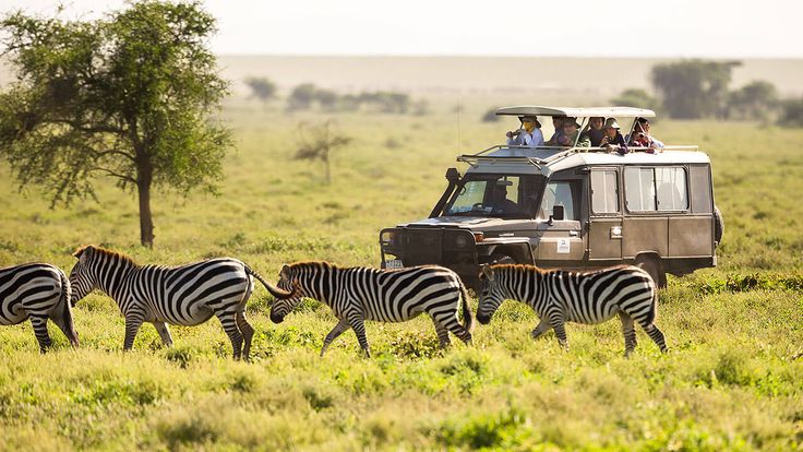Top Tips For Planning Your Tanzania Safari