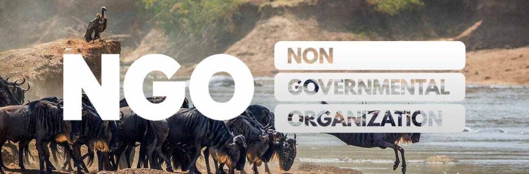 What Are The Best NGOs To Work With In Tanzania?