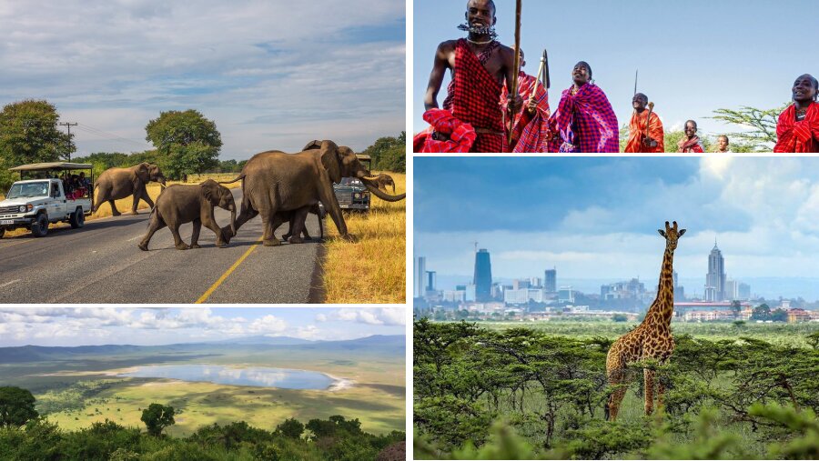 Which Is Better: Kenya Or Tanzania For Safari?