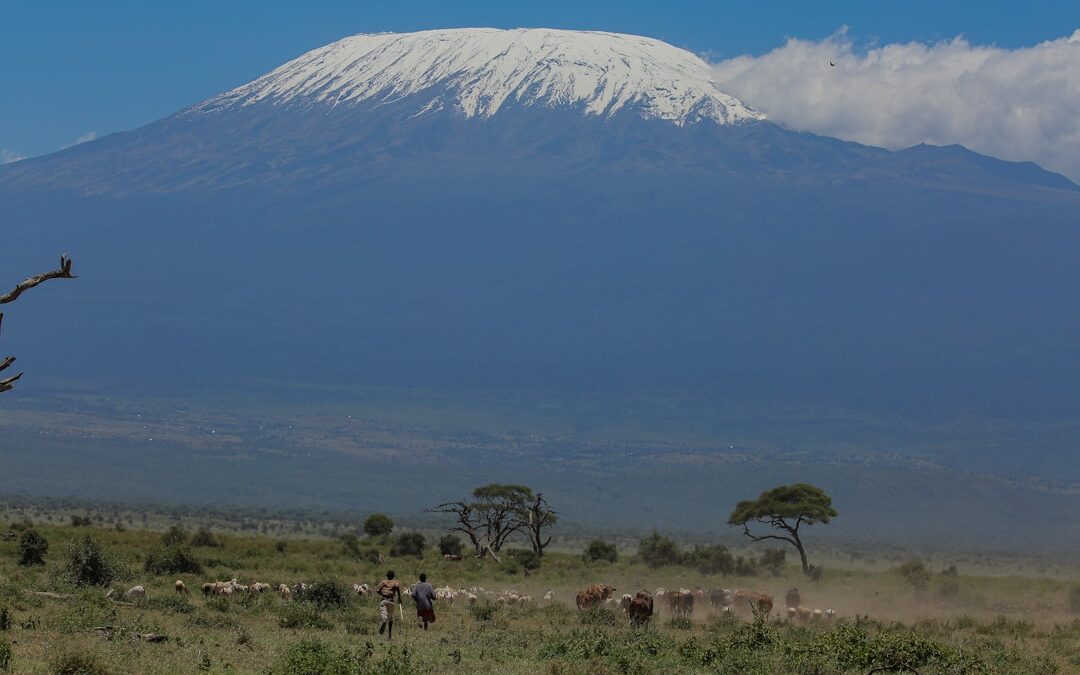 How Fit Do You Need To Be To Climb Kilimanjaro