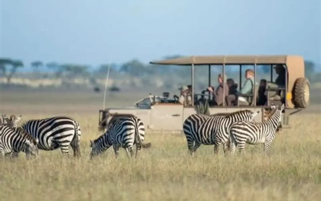 10 Essential Tips for Your First Tanzania Safari