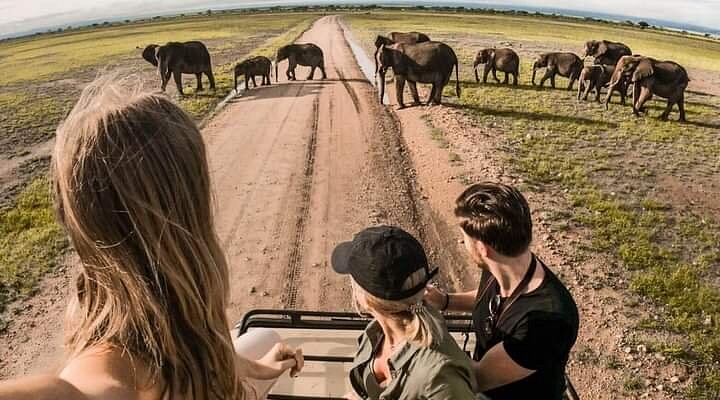 it s really beautiful Africa Safari