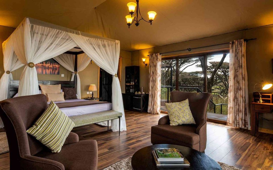 Top 10 Luxury Safari Lodges in Tanzania (For American Travelers)